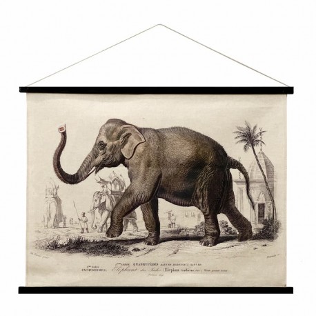 LIENZO ENROLLABLE ELEFANTE IMPRESO 100X1.50X75 CM.